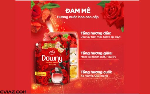 Nước xả vải Downy Đam Mê